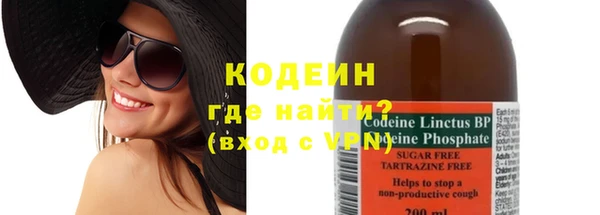 амф Елизово