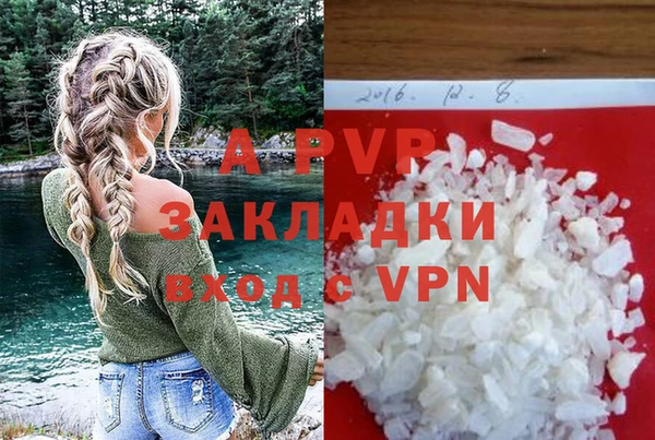амф Елизово