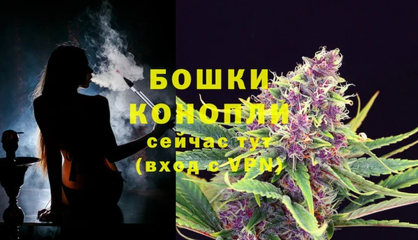 прущие крисы Ельня