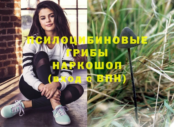 амф Елизово