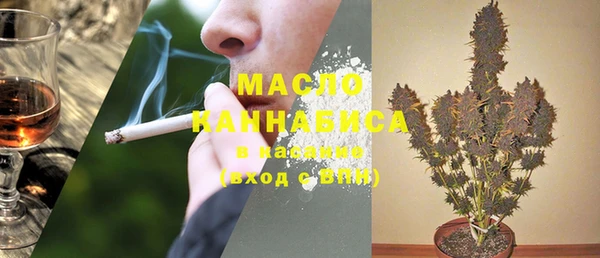 прущие крисы Ельня