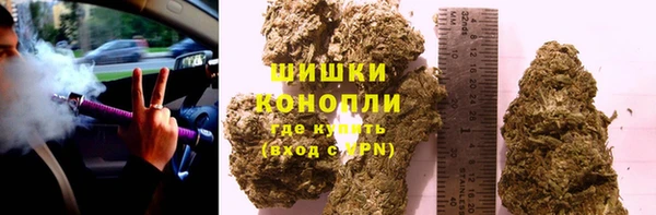 прущие крисы Ельня